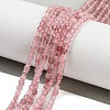 Natural Strawberry Quartz Beads Strands G-H042-B11-01A-2