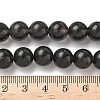 Natural Ice Obsidian Beads Strands X-G-P590-A03-10mm-03-3