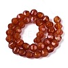 Dyed Natural Agate Beads Strands G-T144-50A-04-2