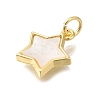Brass Shell Pendants KK-R002-07G-2