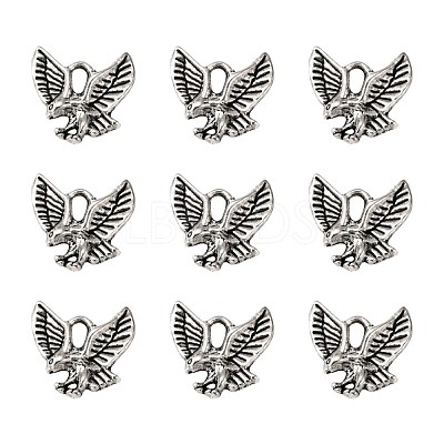 Tibetan Style Alloy Pendants TIBEP-20305-AS-NR-1