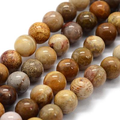 Natural Fossil Coral Beads Strands G-G763-12-8mm-1