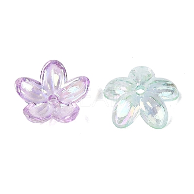 Transparent Plastic Bead Caps KY-N025-37-1