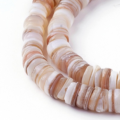 Natural Shell Beads Strands X-SSHEL-E571-49D-1