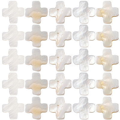 60Pcs Natural Freshwater Shell Beads Strands SSHEL-SC0001-39-1