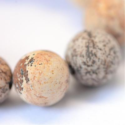 Frosted Natural Picture Jasper Round Bead Strands G-E334-4mm-26-1