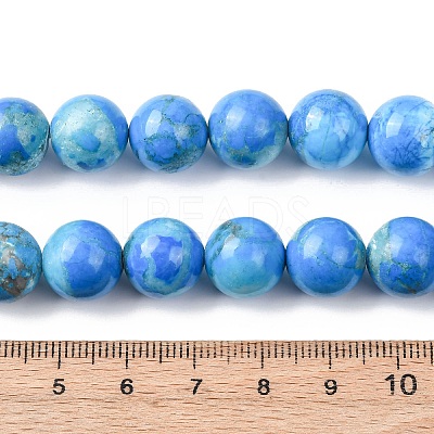 Natural Howlite Beads Strands G-H343-D06-12mm-B-1