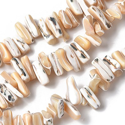 Dyed Natural Trochus Shell Beads Strands SSHEL-C013-09K-1