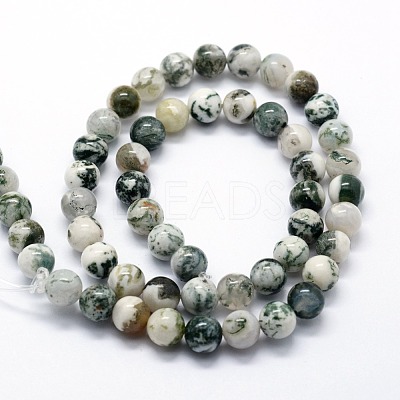 Natural Tree Agate Beads Strands G-I199-03-10mm-1