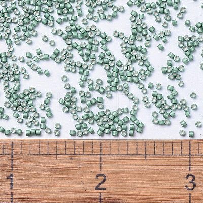 MIYUKI Delica Beads SEED-X0054-DB1171-1