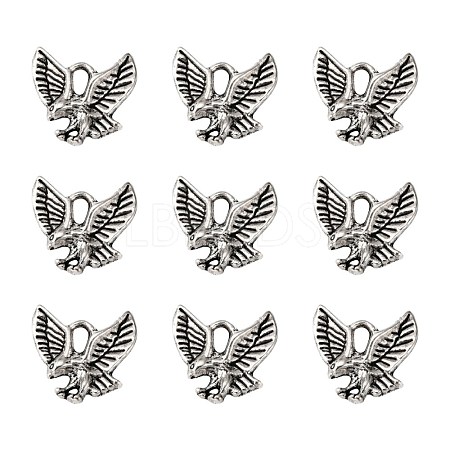 Tibetan Style Alloy Pendants TIBEP-20305-AS-NR-1