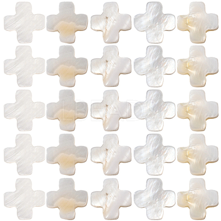 60Pcs Natural Freshwater Shell Beads Strands SSHEL-SC0001-39-1
