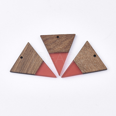 Resin & Walnut Wood Pendants RESI-T035-06-1