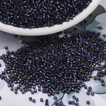 MIYUKI Delica Beads X-SEED-J020-DB2191-1