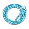 Freshwater Shell Beads Strands SHEL-T009-B15-05-2