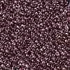 TOHO 11/0 Round Beads SEED-XTR11-0201-2