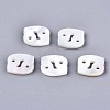 Natural White Shell Beads SSHEL-ZX004-02D-1