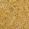 8/0 Glass Seed Beads X2-SEED-A005-3mm-22-2