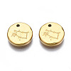 316 Surgical Stainless Steel Charms STAS-S116-418E-G-2