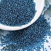 MIYUKI Round Rocailles Beads SEED-X0054-RR0025-1