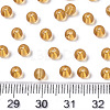 Transparent Glass Beads SEED-S040-09A-09-4