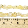 Natural Gold Prehnite Beads Strands G-K395-A07-01-5