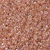 MIYUKI Delica Beads X-SEED-J020-DB0054-3