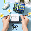 Segment Dyed Raffia Paper Cords for DIY Craft OCOR-WH20020-27B-4