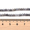 Natural Tanzanite Beads Strands LS-G-S387-A01-3mm-5