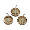 Natural Picture Jasper Flat Round Pendants G-Q188-01P-11-1