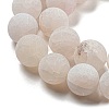 Natural Weathered Agate Beads Strands G-P538-A01-14-4