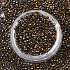 Electroplate Glass Seed Beads X-SEED-S042-01B-02-2