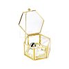 Glass Jewelry Presentation Boxes with Golden Tone Metal Frame CON-WH0133-014-1