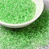6/0 Transparent Glass Seed Beads SEED-F003-03A-13-1