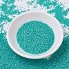 MIYUKI Delica Beads SEED-J020-DB0729-2