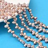Natural Cultured Freshwater Pearl Beads Strands PEAR-I007-04A-01B-1