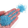 Round Glass Seed Beads SEED-A007-2mm-163-5