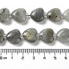 Natural Labradorite Beads Strands G-E614-A11-01-4