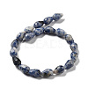 Natural Blue Spot Jasper Beads Strands G-P520-B21-01-3