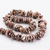 Natural Shell Bead Strands BSHE-P010-07-2