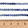 Natural Blue Aventurine Beads Strands GG-CBA9722-A06-3mm-6