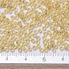 MIYUKI Round Rocailles Beads X-SEED-G007-RR0002-4