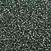 TOHO Round Seed Beads SEED-XTR08-2202-2