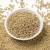 MIYUKI Round Rocailles Beads SEED-G008-RR0442-2