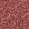 MIYUKI Round Rocailles Beads X-SEED-G007-RR0373-3