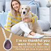 Natural Amethyst Teardrop Urn Ashes Pendant 304 Stainless Steel Cable Chain Necklaces NJEW-OC0001-09C-5
