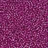 TOHO Round Seed Beads SEED-JPTR15-2107-2