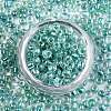 8/0 Glass Seed Beads X1-SEED-A016-3mm-216-4