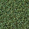 MIYUKI Round Rocailles Beads SEED-X0054-RR0375-3