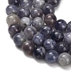 Natural Iolite Beads Strands G-G300-A04-8mm-4